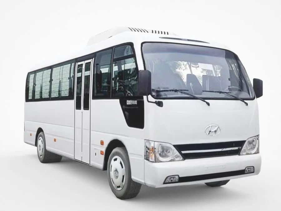 Hyundai County, foto 3